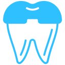 Dental Prosthetics